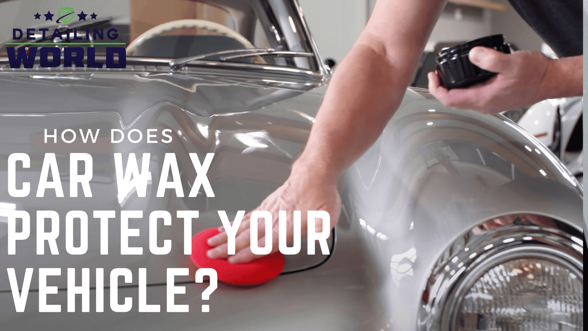 How Does Car Wax Protect Your Vehicle?