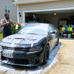 Paint Decontamination