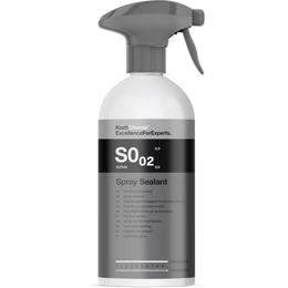 Paint Sealants